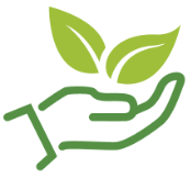 Plant in hand icon