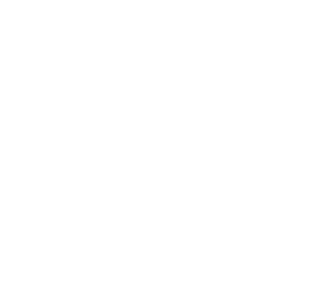 The Show